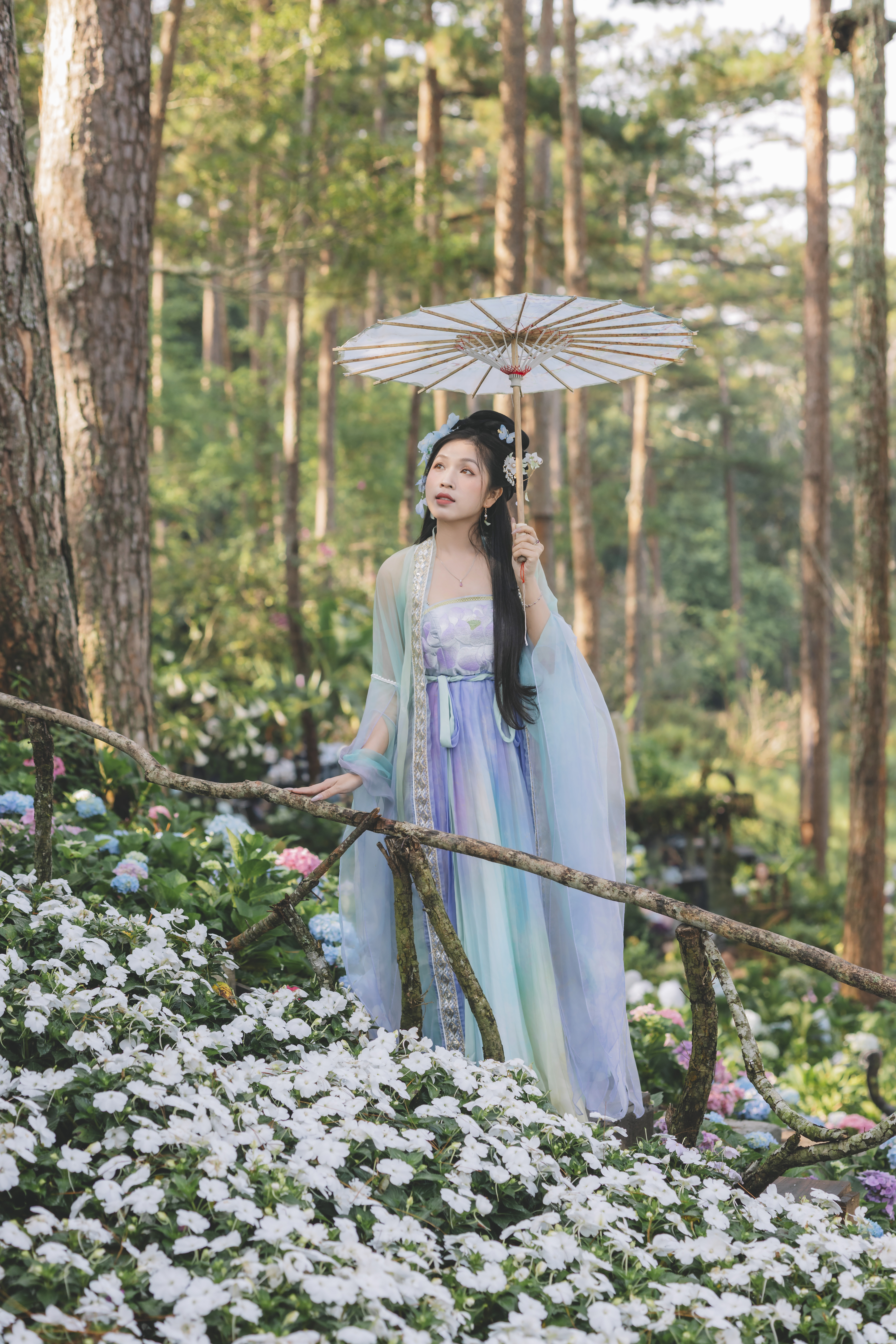 Rừng thông và hồ nước Đà Lạt ẩn hiện trong sương